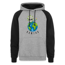 Load image into Gallery viewer, Colorblock Hoodie - heather gray/black