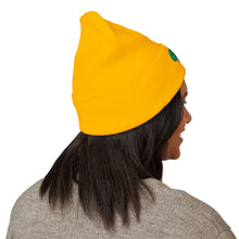 Load image into Gallery viewer, Embroidered Cuffed Beanie